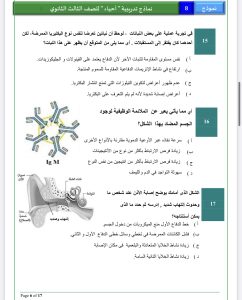 قبل امتحان الأحياء غدًا.. 20 سؤالًا بالإجابات تراجع بهم المنهج في دقائق 6 IMG 5930 امتحان الأحياء غدًا قبل امتحان الأحياء غدًا.. 20 سؤالًا بالإجابات تراجع بهم المنهج في دقائق موقع في الجامعة