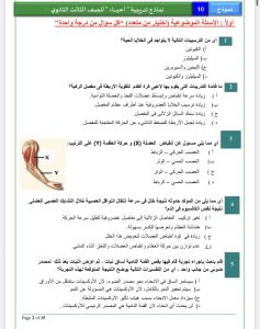 الأحياء