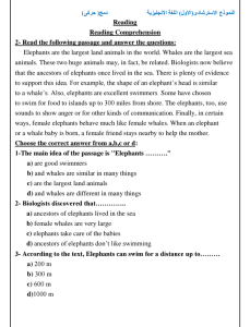 IMG ٢٠٢٦٠٧٠٣ ١٧١٩٥٦ أهم 20 سؤال في اللغة الإنجليزية للثانوية العامة 2026 المراجعة الأخيرة قبل الامتحان.. أهم 20 سؤال في اللغة الإنجليزية للثانوية العامة 2026 بالإجابات موقع في الجامعة