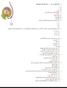 IMG ٢٠٢٦٠٧١٣ ١٩١٩٠٤ مراجعة نهائية تضم 30 سؤالًا بالإجابات في الأحياء الامتحان في جيبك.. مراجعة نهائية تضم 30 سؤالًا بالإجابات في الأحياء لطلاب الثانوية العامة موقع في الجامعة