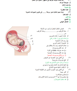 المراجعة التي يبحث عنها طلاب الثانوية العامة.. 50 سؤالًا بالحل في الأحياء تشمل المنهج كاملًا 11 IMG ٢٠٢٦٠٧١٣ ١٩٣٦٤٢ 50 سؤالًا بالحل في الأحياء تشمل المنهج كاملًا المراجعة التي يبحث عنها طلاب الثانوية العامة.. 50 سؤالًا بالحل في الأحياء تشمل المنهج كاملًا موقع في الجامعة