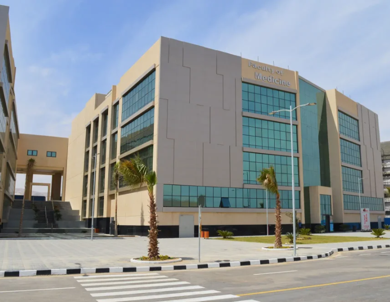 جامعة ميريت تعلن عن وظائف شاغرة لأعضاء هيئة التدريس 