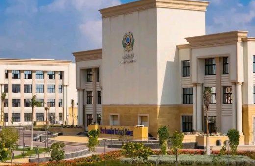 جامعة الإسماعيلية الجديدة الأهلية