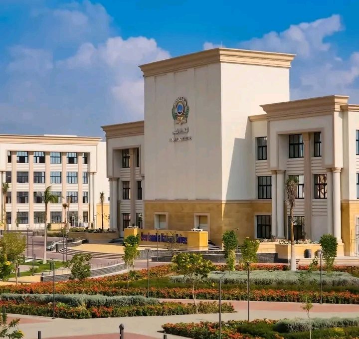 جامعة الإسماعيلية الجديدة الأهلية