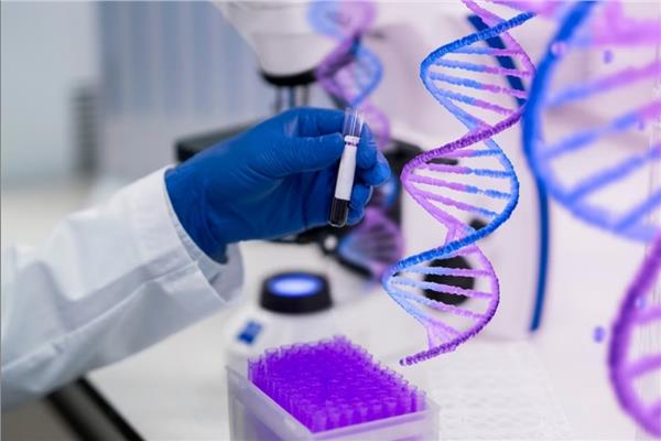 20230819123326742 التكنولوجيا الحيوية والهندسة الوراثية بجامعة حلوان 4 سنوات دراسة وفرص عمل متعددة.. تفاصيل برنامج التكنولوجيا الحيوية والهندسة الوراثية بجامعة حلوان الأهلية موقع في الجامعة