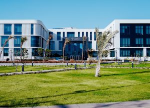 413023 جامعة باديا تستقبل الطلاب الراغبين فى الالتحاق بكلية الفنون الجميلة جامعة باديا عميدة فنون جميلة جامعة باديا تكشف لـ«في الجامعة»: 6 برامج تواكب وظائف المستقبل.. والذكاء الاصطناعي شريك للإبداع وليس بديلًا عن الفنان| حوار موقع في الجامعة