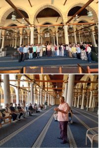     جامعة القاهرة الأهلية والفرع الدولي 