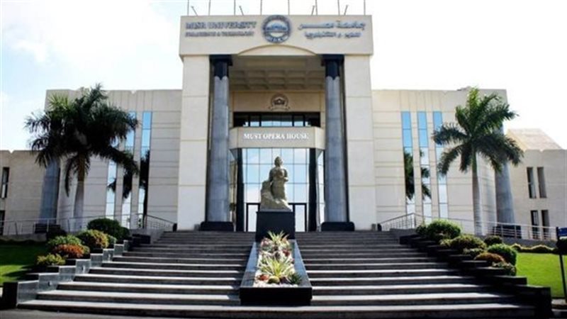 جامعة حلوان التكنولوجية الدولية