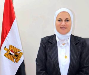 تعليم القاهرة يدرب معلمي الدراسات الاجتماعية 