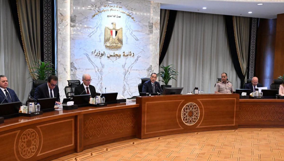 برامج جديدة بفرع جامعة جزيرة الأمير إدوارد في مصر