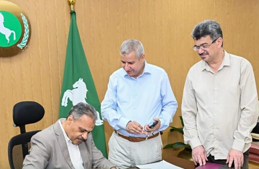 بنسبة نجاح 77.85%.. اعتماد نتيجة الدور الثاني للشهادة الإعدادية 2026 بالشرقية