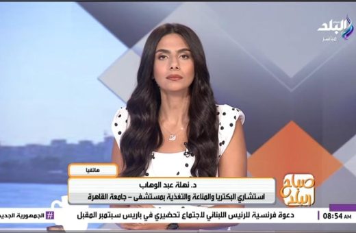 IMG 20260820 WA0001 استشاري صحة نفسية خطورة المقليات والسكريات على الصحة العامة.. تأثيرها على المخ والذاكرة وطرق الوقاية| فيديو موقع في الجامعة