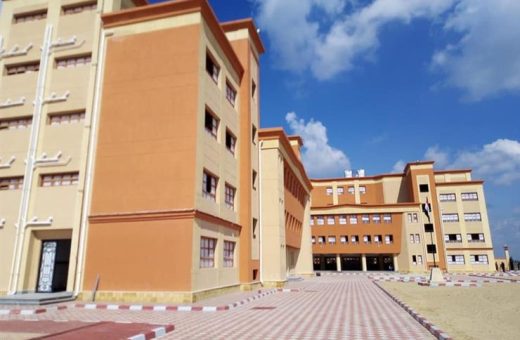 المدرسة المصرية الألمانية «ناتكو»