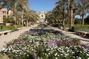 منح الجامعة الأمريكية بالقاهرة 2026