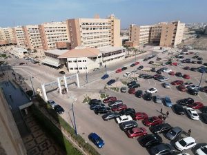 IMG 8101 الإعلام وفنون الاتصال بجامعة فاروس كلية الإعلام وفنون الاتصال بجامعة فاروس 2026.. المصروفات والتخصصات والحد الأدنى للقبول موقع في الجامعة