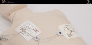 IMG 8269 عميد كلية الطب بجامعة باديا «مش بنستنى التخرج».. عميد كلية الطب بجامعة باديا: طلابنا يتدربون على الممارسة العملية للطب من السنة الأولى للدراسة موقع في الجامعة
