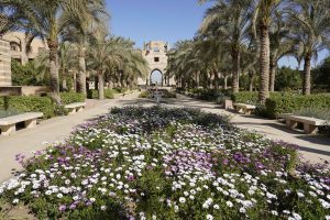 IMG 9799 دبلومة الإعلام الرقمي 6 مواد ومشروع تخرج.. تفاصيل دبلومة الإعلام الرقمي بالجامعة الأمريكية موقع في الجامعة