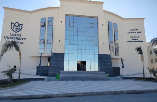كلية الهندسة بجامعة اللوتس بالمنيا
