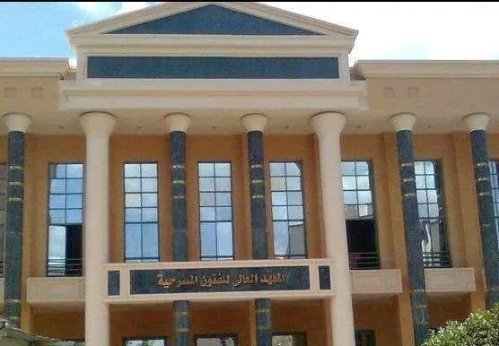 معهد الفنون المسرحية فرع القاهرة