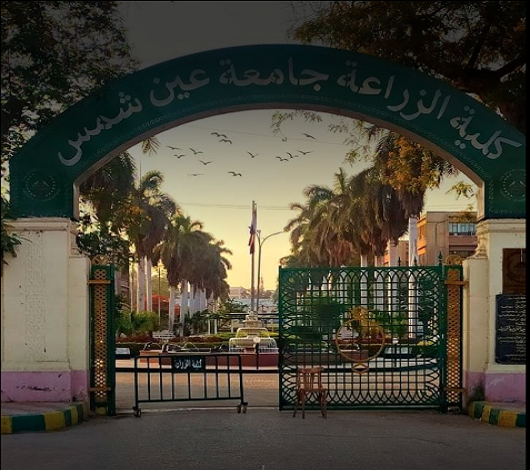 LpcU2gEWG4CmR3Xe التقديم للدراسات العليا بكلية الزراعة جامعة عين شمس فتح باب التقديم للدراسات العليا بكلية الزراعة جامعة عين شمس.. التخصصات وشروط القبول موقع في الجامعة