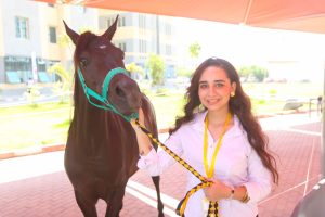 c3b7f234 a088 42f1 a19a 7e236595f2fe طب الخيول بالجامعة المصرية الصينية «التحديات والابتكار».. انطلاق المؤتمر الرابع لطب الخيول بالجامعة المصرية الصينية موقع في الجامعة