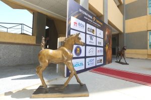 cb1b77e9 38ac 459f b75e 4063d3df25a8 طب الخيول بالجامعة المصرية الصينية «التحديات والابتكار».. انطلاق المؤتمر الرابع لطب الخيول بالجامعة المصرية الصينية موقع في الجامعة
