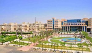 لجان تتفقد الجامعات الخاصة لبحث إمكانية زيادة أعداد المقبولين 10%