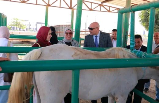 رئيس جامعة مدينة السادات في جولة موسعة قبل الدراسة