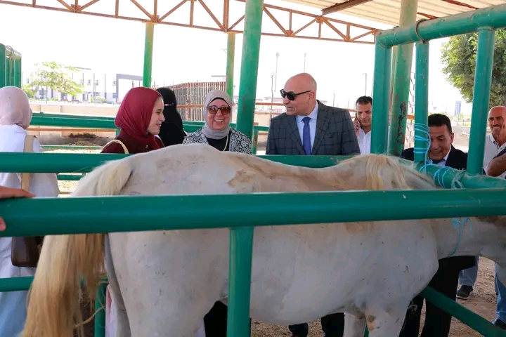 رئيس جامعة مدينة السادات في جولة موسعة قبل الدراسة