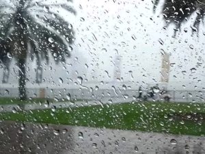 العد التنازلي بدأ.. 8 أيام على انتهاء الصيف رسميًا 2 8 أيام على انتهاء الصيف رسميًا