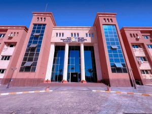 جامعة القاهرة الجديدة التكنولوجية تعلن مواعيد التقديم لطلاب الدبلومات 3 و5 سنوات.. تفاصيل 2 جامعة القاهرة الجديدة التكنولوجية
