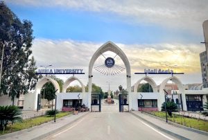 4 تخصصات طبية تستقل عن قسم الباطنة بكلية طب جامعة المنيا 