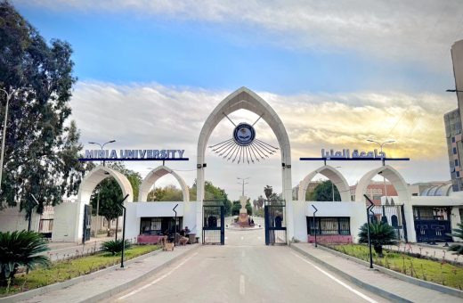 4 تخصصات طبية تستقل عن قسم الباطنة بكلية طب جامعة المنيا 