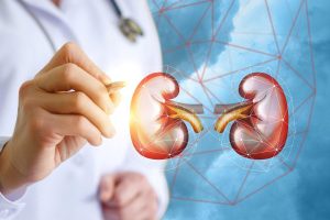 أستاذ بطب القاهرة يكشف حقيقة إعادة زراعة الكلى بعد فشل العملية الأولى 2 أستاذ بطب القاهرة يكشف حقيقة إعادة زراعة الكلى