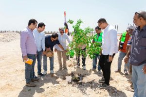 جامعة الأقصر تبدأ تشجير مقرها الجديد بطيبة إيذانا بإنشاء حرم جامعي أخضر ومستدام