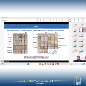 FB IMG 1789909770973 ويبينار بجامعة العاصمة يناقش أحدث اتجاهات البحوث بمشاركة باحثين دوليين.. ويبينار بجامعة العاصمة يناقش أحدث اتجاهات البحوث البينية موقع في الجامعة