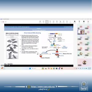 FB IMG 1789909772962 ويبينار بجامعة العاصمة يناقش أحدث اتجاهات البحوث بمشاركة باحثين دوليين.. ويبينار بجامعة العاصمة يناقش أحدث اتجاهات البحوث البينية موقع في الجامعة