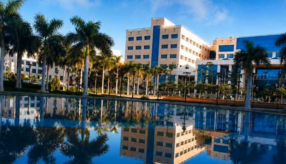 جامعة 6 أكتوبر تستضيف فرق «القاهرة 2026».. استعدادات مكثفة لاستقبال وفود دورة الألعاب الإفريقية للجامعات