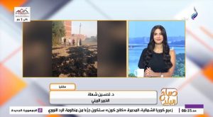 حرق المخلفات وقش الأرز.. خبير بيئي يكشف أسباب السحابة السوداء وتفاقم تلوث الهواء| فيديو 