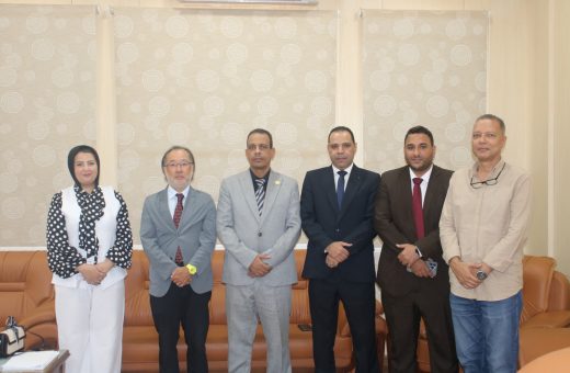 جامعة أسوان تفتح باب التعاون الأثري مع اليابان