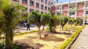 IMG 20260928 WA0049 عميد تجارة عين شمس يستعرض صور المسطحات الخضراء بعد جدل «ذبح الأشجار».. عميد تجارة عين شمس يستعرض صور المسطحات الخضراء بالكلية موقع في الجامعة