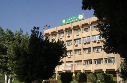 IMG 1062 طب بيطري القاهرة تعزز التدريب المهني طب بيطري القاهرة تعزز التدريب المهني.. ورش عمل ودورات في ريادة الأعمال وسلامة الغذاء والمهارات الطبية موقع في الجامعة