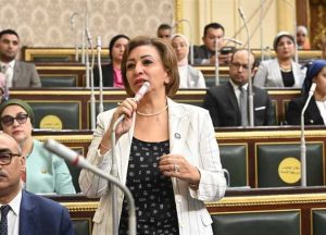 4 مطالب برلمانية لضبط قبول الوافدين واللاجئين والشهادات الدولية بالجامعات المصرية 3 ضبط قبول الوافدين واللاجئين