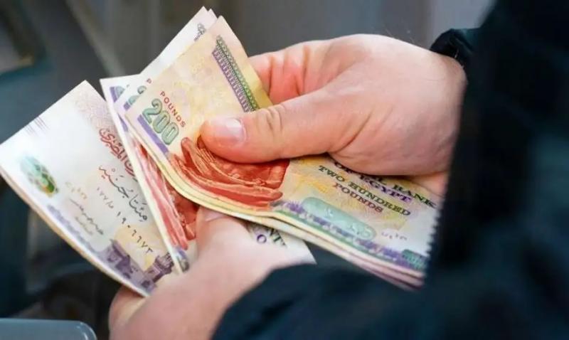 IMG 3481 دخول أعضاء هيئة التدريس بالجامعات انفراد.. مناقشات لزيادة دخول أعضاء هيئة التدريس بالجامعات حتى 5 آلاف جنيه موقع في الجامعة