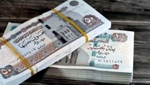 دخول أعضاء هيئة التدريس بالجامعات