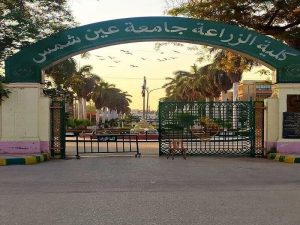 IMG 4320 الدكتور ولاء عبد الغني تكليف الدكتور ولاء عبد الغني بالإشراف على معهد الدراسات العليا بجامعة عين شمس موقع في الجامعة