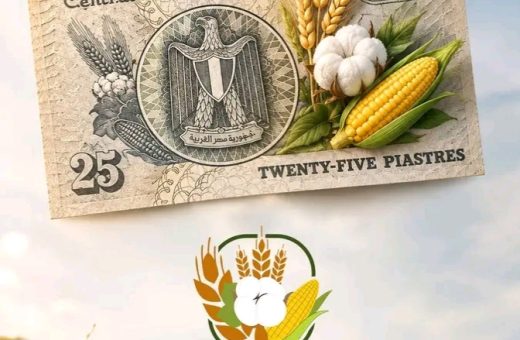 انطلاق منصة الغذاء لرصد حكاية الزراعة المصرية 