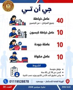 1791553004237 وزارة العمل تعلن عن 2539 وظيفة جديدة في 11 محافظة وزارة العمل تعلن عن 2539 وظيفة جديدة في 11 محافظة.. وهذه طرق التقديم موقع في الجامعة