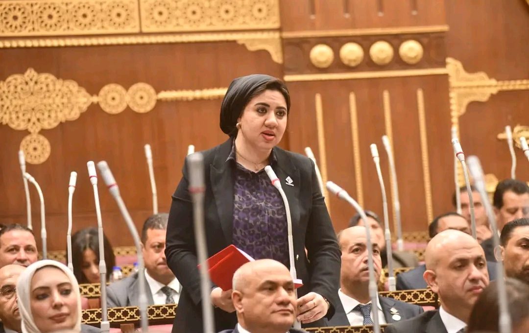 النائبة أميرة صابر، عضو مجلس الشيوخ