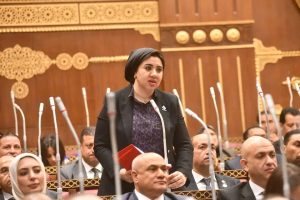 النائبة أميرة صابر، عضو مجلس الشيوخ